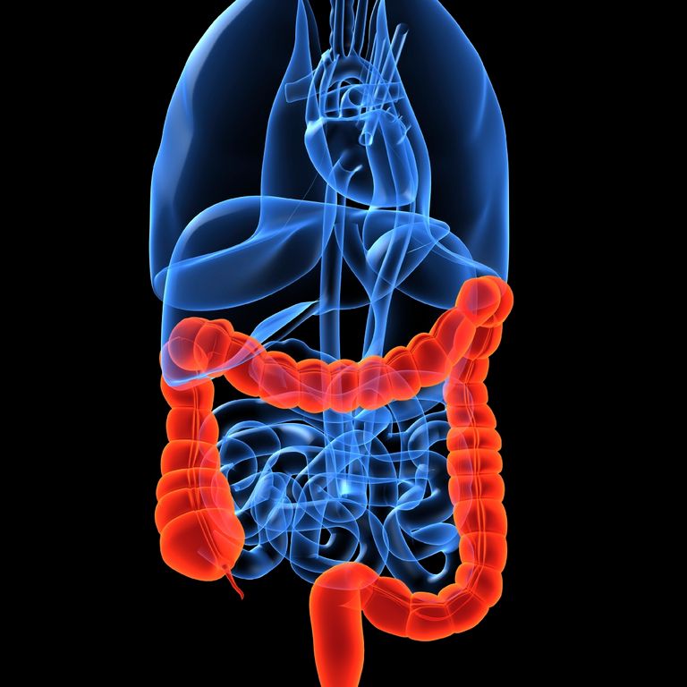 Leaky Gut